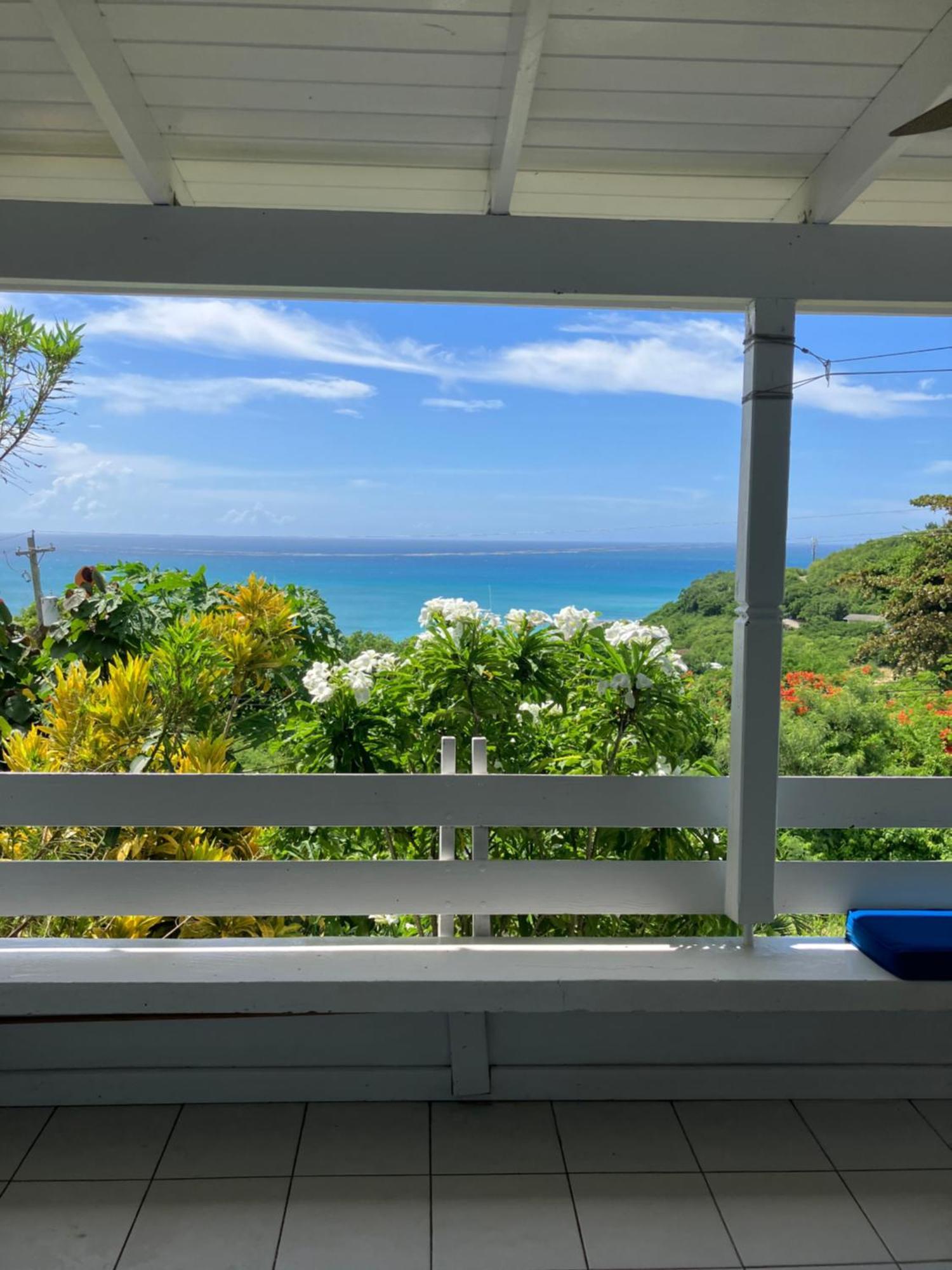 Halcyon Heights Condominium Dickenson Bay Buitenkant foto